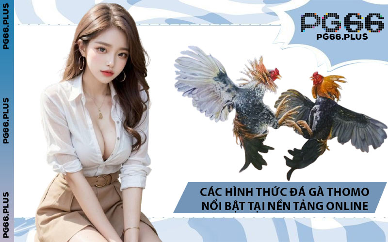 Các Hình Thức Đá Gà Thomo Nổi Bật Tại Nền Tảng Online