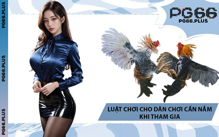 Luật Chơi Cho Dân Chơi Cần Nắm Khi Tham Gia