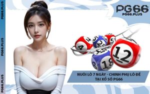 Nuôi Lô 7 Ngày - Chinh Phụ Lô Đề Tại Xổ Số PG66